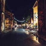 Angela Shanahan Profile Picture