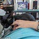 Ima Jakubowski Profile Picture