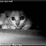 Akeem Will Profile Picture