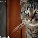 Zena Marks Profile Picture