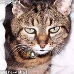 Lennie Kunze Profile Picture