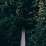 Ella Gorczany Profile Picture