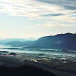 Hortense Hermann Profile Picture