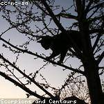 Viviane Morissette Profile Picture