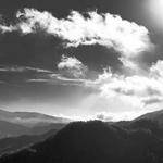 Sandra Schuppe Profile Picture