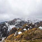 Zoila Pfannerstill Profile Picture