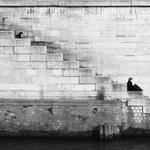 Immanuel Runolfsdottir Profile Picture