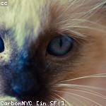 Rolando Schmidt Profile Picture