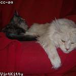 Howard Brown Profile Picture