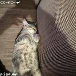 Brown Ferry Profile Picture