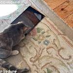 Jarrell Hane Profile Picture