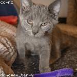 Dora Braun Profile Picture