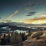 Josue Emard Profile Picture