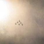 Lois Quigley Profile Picture