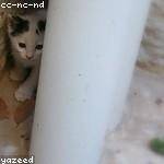 Savanna Stracke Profile Picture