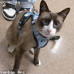 Kennedy Marvin Profile Picture