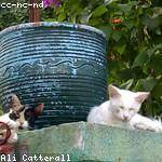 Lucie Reilly Profile Picture