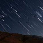 Evan Gutmann Profile Picture