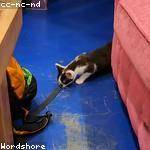 Madisen Fritsch Profile Picture