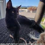 Monserrate Reilly Profile Picture