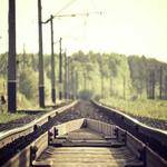 Emerald Rutherford Profile Picture