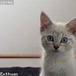 Talia Will Profile Picture