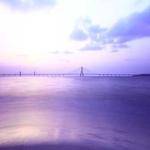 Vivianne Crist Profile Picture