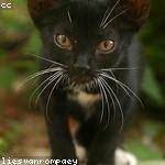 Elenor Reichert Profile Picture