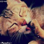 Michel Gutmann Profile Picture