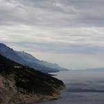 Julian Bradtke Profile Picture