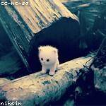 Sterling Little Profile Picture