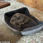 Hulda Boehm Profile Picture