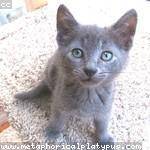 Emerson Ziemann Profile Picture