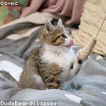 Ed Herzog Profile Picture