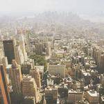 Rosella Champlin Profile Picture