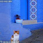 Leonor Dach Profile Picture