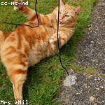 Zetta Schamberger Profile Picture