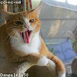 Israel Murazik Profile Picture