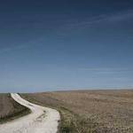 Eden Quigley Profile Picture