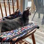 Jaron Ledner Profile Picture