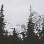 Jevon Carroll Profile Picture