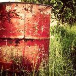 Shirley Gerlach Profile Picture