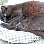 Marcus Daugherty Profile Picture