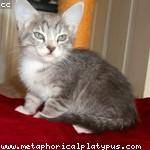 Jakayla Barton Profile Picture