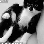 Demarco Thiel Profile Picture