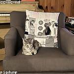 Gus Von Profile Picture