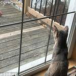 Sabryna Wiza Profile Picture