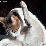 Devyn Schultz Profile Picture