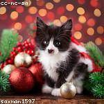 Gaston Von Profile Picture