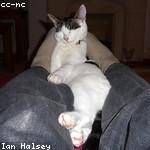 Zena Leuschke Profile Picture